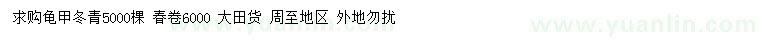 求購(gòu)龜甲冬青、春卷