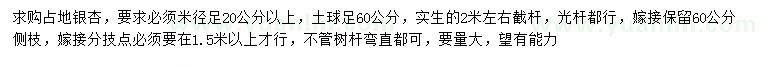 求購米徑20公分以上占地銀杏