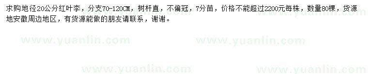 求購地徑20公分紅葉李