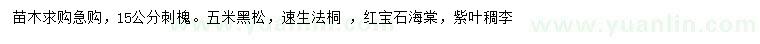 求購刺槐、黑松、速生法桐等