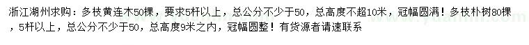 求購多枝黃連木