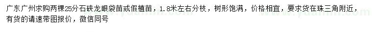 求購25分石硤龍眼袋苗、假植苗