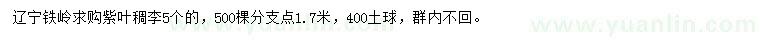 求購5公分紫葉稠李