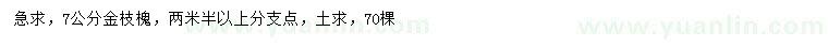 求購7公分金枝槐
