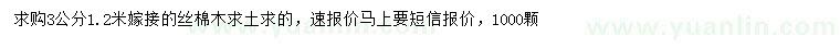 求購3公分絲棉木