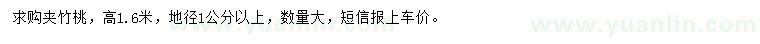 求購(gòu)地徑1公分以上夾竹桃