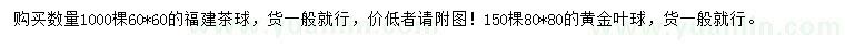 求購60*60福建茶球、80*80黃金葉球