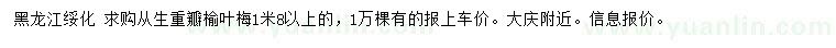 求購(gòu)1.8米以上從生重瓣榆葉梅