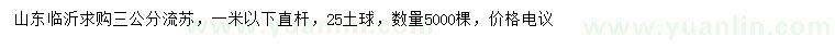 求購3公分流蘇