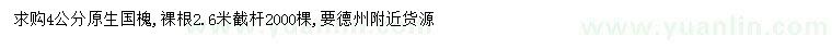 求購4公分原生國槐