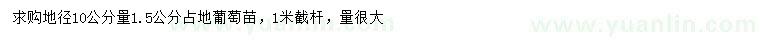 求購(gòu)地徑10公分量1.5公分占地葡萄苗