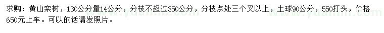 求購130公分量14公分黃山欒樹