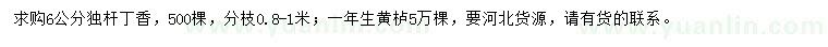 求購6公分獨桿丁香、一年生黃櫨