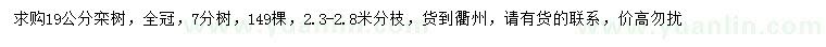 求購19公分欒樹