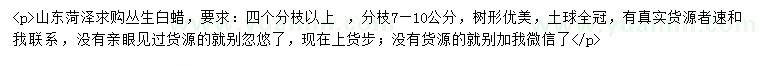 求購叢生白蠟