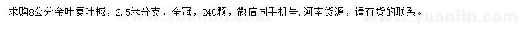 求購(gòu)8公分金葉復(fù)葉槭
