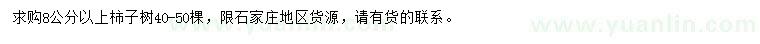 求購8公分以上柿子樹