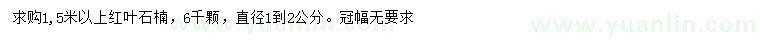 求購1.5米以上紅葉石楠