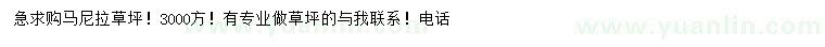 求購馬尼拉草坪