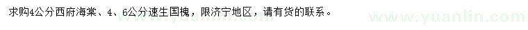 求購4公分西府海棠、4、6公分速生國槐