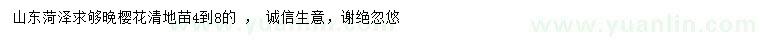 求購(gòu)4-8公分晚櫻花清地苗