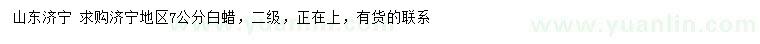 求購7公分白蠟