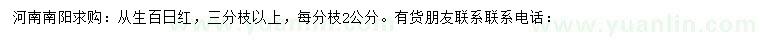 求購叢生百日紅