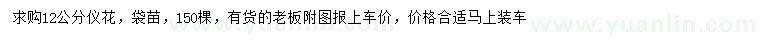 求購12公分儀花