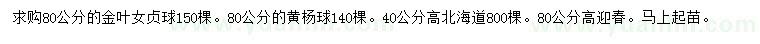 求購(gòu)金葉女貞球、黃楊球、北海道黃楊等