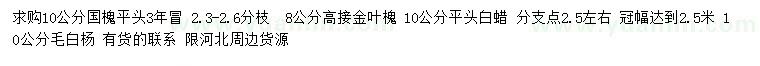 求購(gòu)國(guó)槐、高接金葉槐、白蠟等