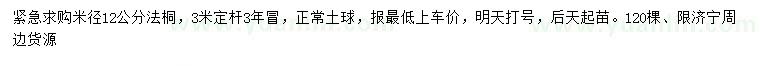 求購米徑12公分法桐