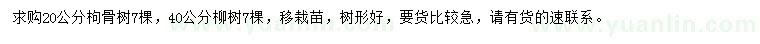 求購20公分枸骨樹、40公分柳樹