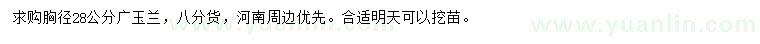 求購(gòu)胸徑28公分廣玉蘭