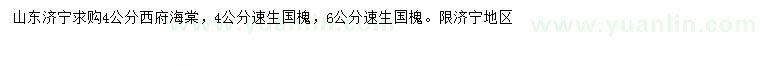 求購(gòu)4公分西府海棠