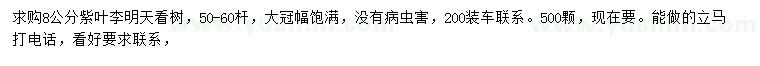 求購(gòu)8公分紫葉李