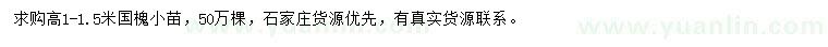 求購(gòu)高1-1.5米國(guó)槐小苗