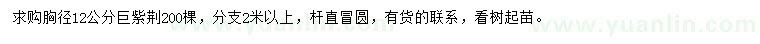 求購胸徑12公分巨紫荊