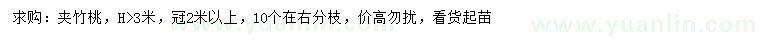 求購高3米以上夾竹桃