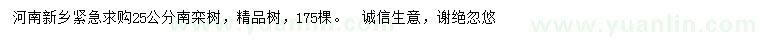 求購25公分南欒樹