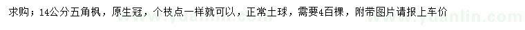 求購(gòu)14公分五角楓
