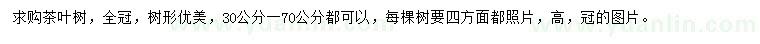 求購(gòu)30-70公分茶葉樹