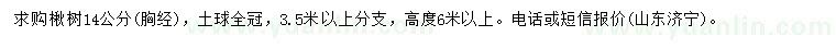 求購胸徑14公分楸樹