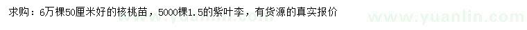 求購50公分核桃苗、1.5米紫葉李