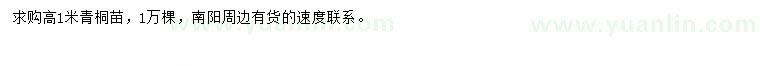 求購高1米青桐苗