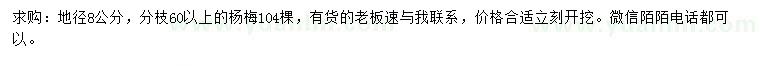 求購地徑8公分楊梅