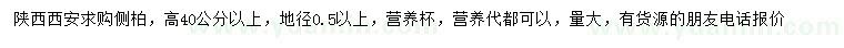 求購高40公分以上側(cè)柏