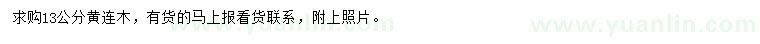求購13公分黃連木