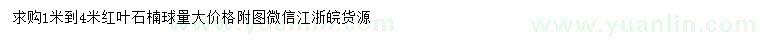 求購1-4米紅葉石楠球