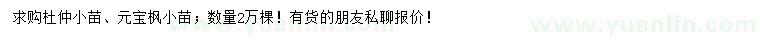 求購杜仲小苗、元寶楓小苗