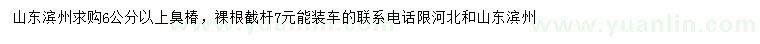 求購6公分以上臭椿